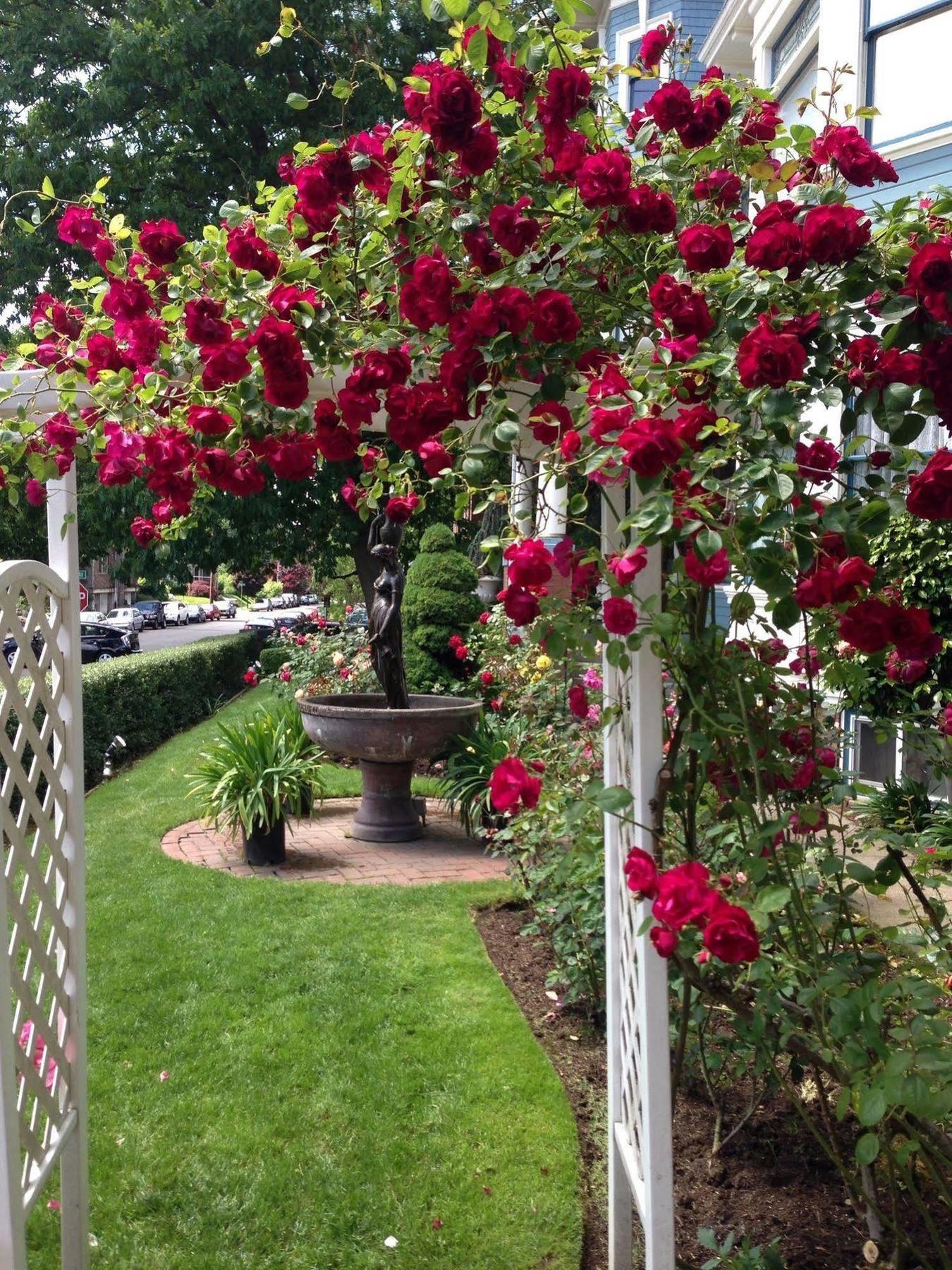 Lion And The Rose Victorian Guest House Portland Exteriér fotografie
