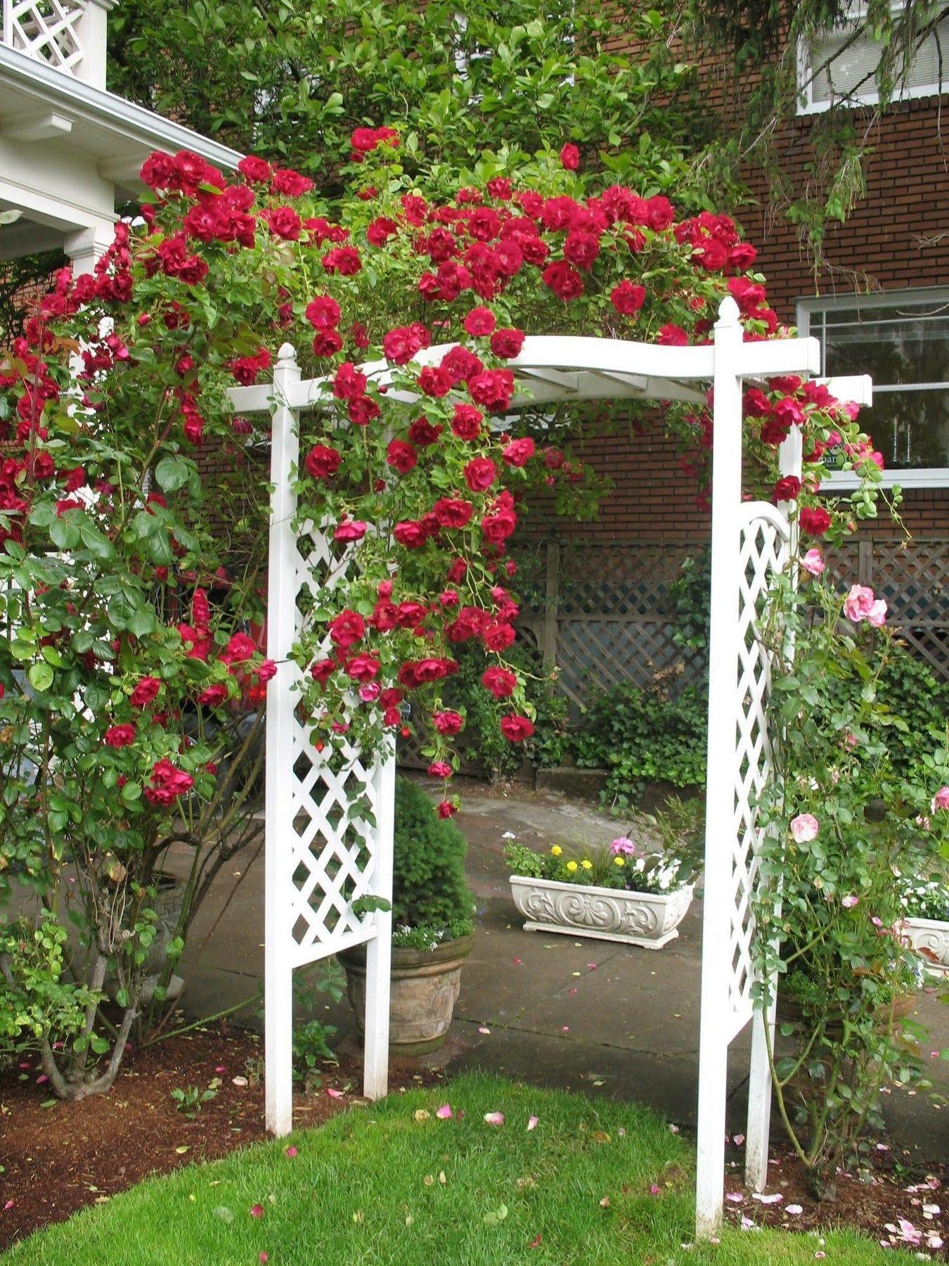 Lion And The Rose Victorian Guest House Portland Exteriér fotografie